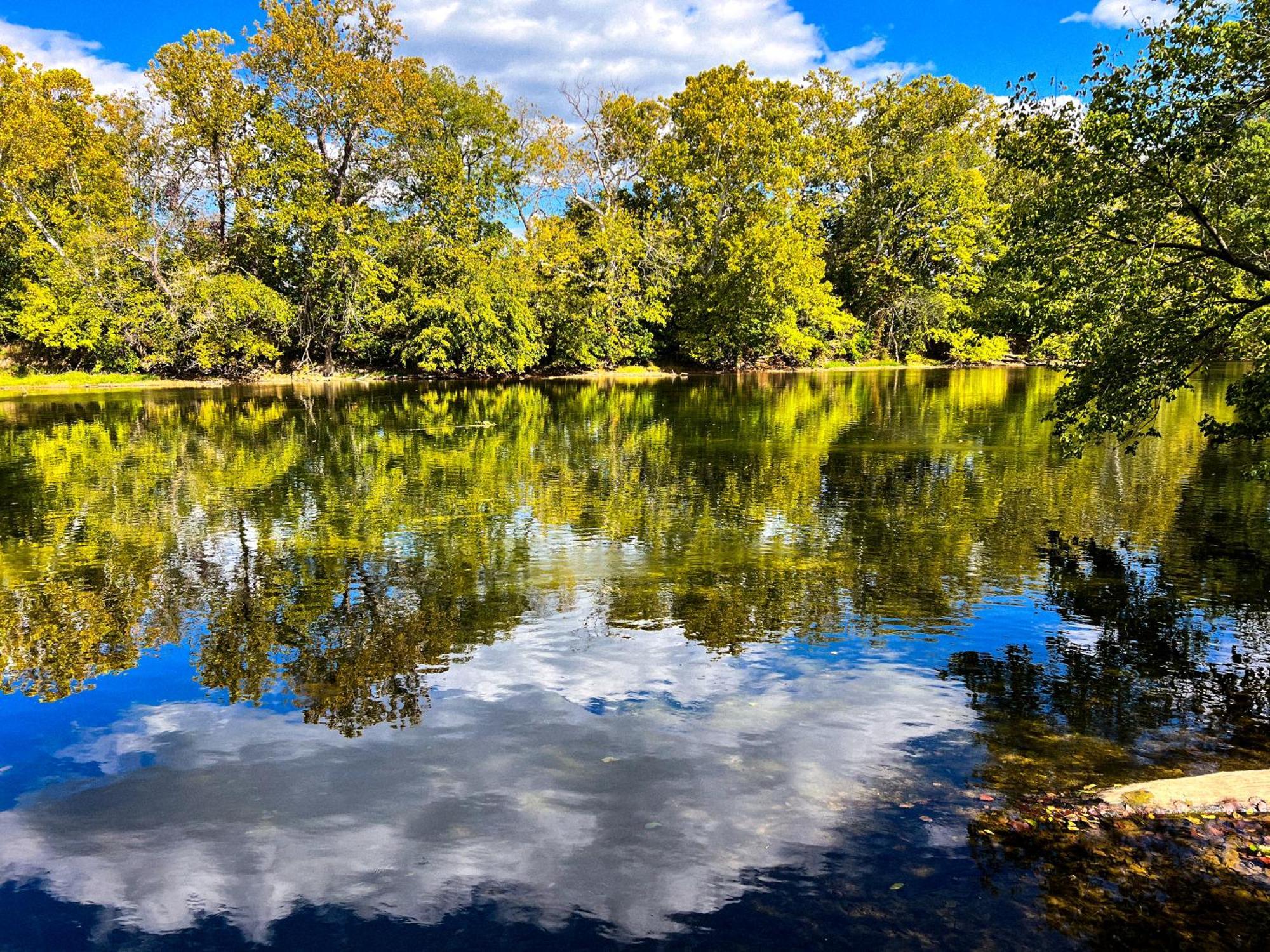 Luray Rv Resort On Shenandoah River Eksteriør bilde